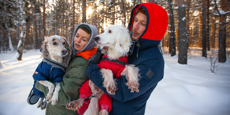 Winter Care Tips for Your Pets - Special Friends Need Special Treatment